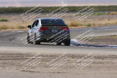 media/Oct-04-2025-OnGrid (Sat) [[44bd565ffa]]/Purple Group/Grapevine/